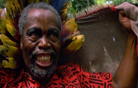 the-serpent-and-the-rainbow-zakes-mokae1