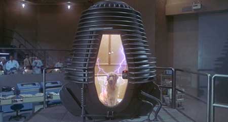 the-fly-ii-movie-1989-6