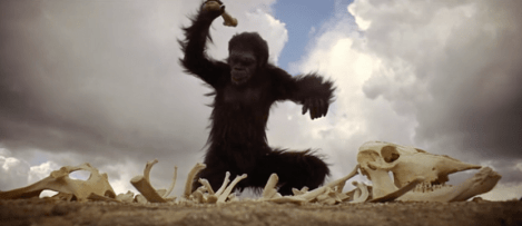 screen-shot-2017-05-05-at-2.05.00-am