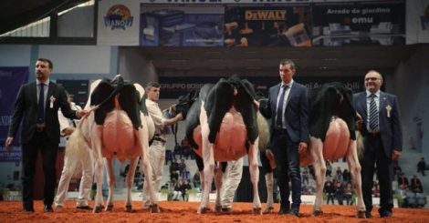 6f180d4e-bec1-4f8d-bc4f-7b50700ce803