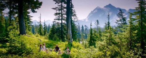 1p1tfjl88gc0xvtsfbv8o-g